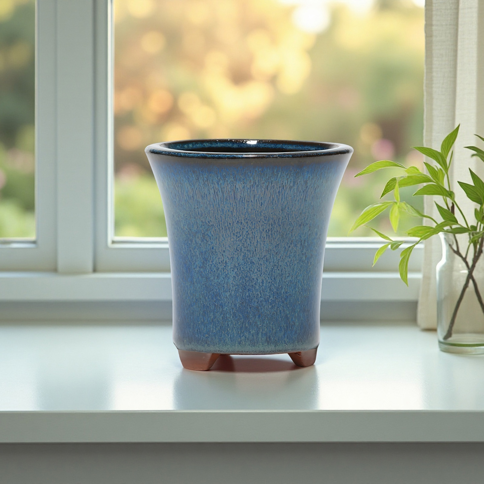 Pilea Peperomioides - Ceramic Flower Pots with Drain Hole