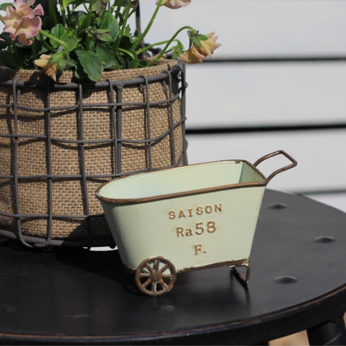 Pilea Peperomioides - Vintage Iron Two-Wheel Cart Planter, Rustic