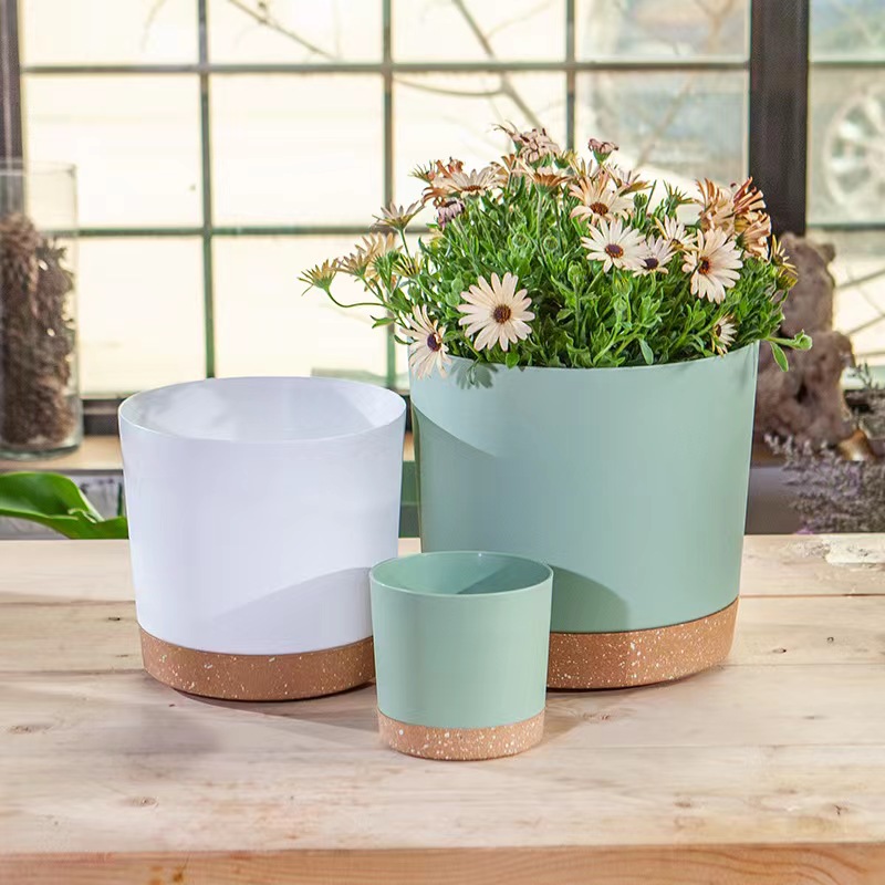 Pilea Peperomioides - Plant POTS, lightweight large POTS for