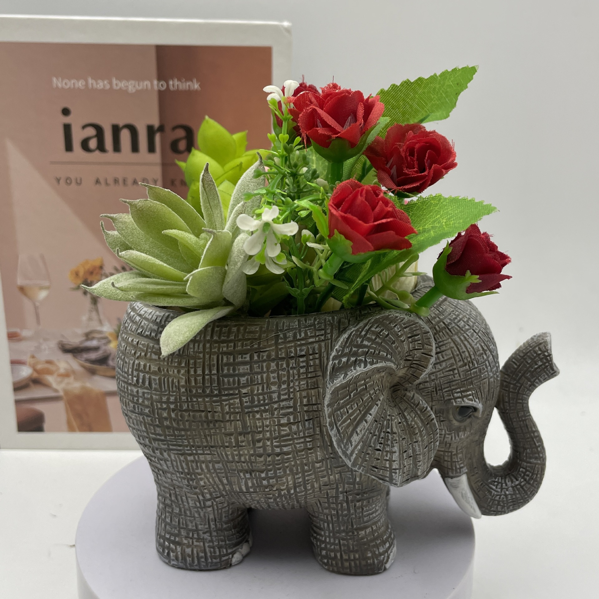 Echeveria Succulent - Cute Elephant Resin Succulent Planter, Lucky