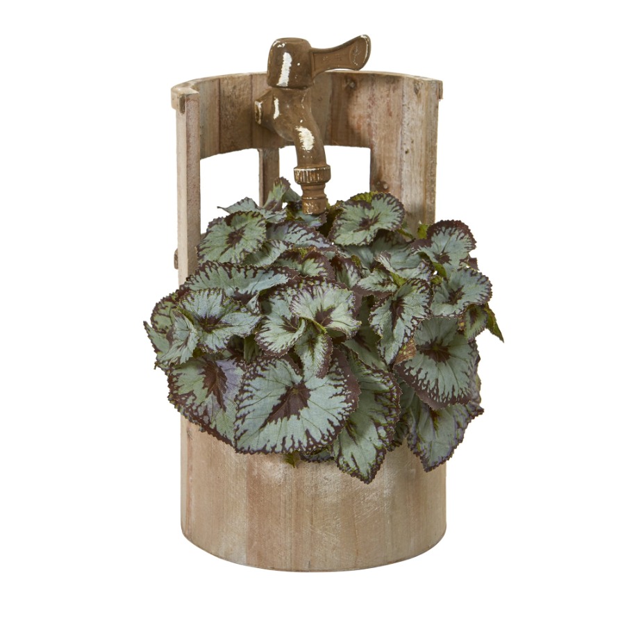 12in. Rex Begonia Artificial P - Begonia Rex incelemesi ve fiyatı