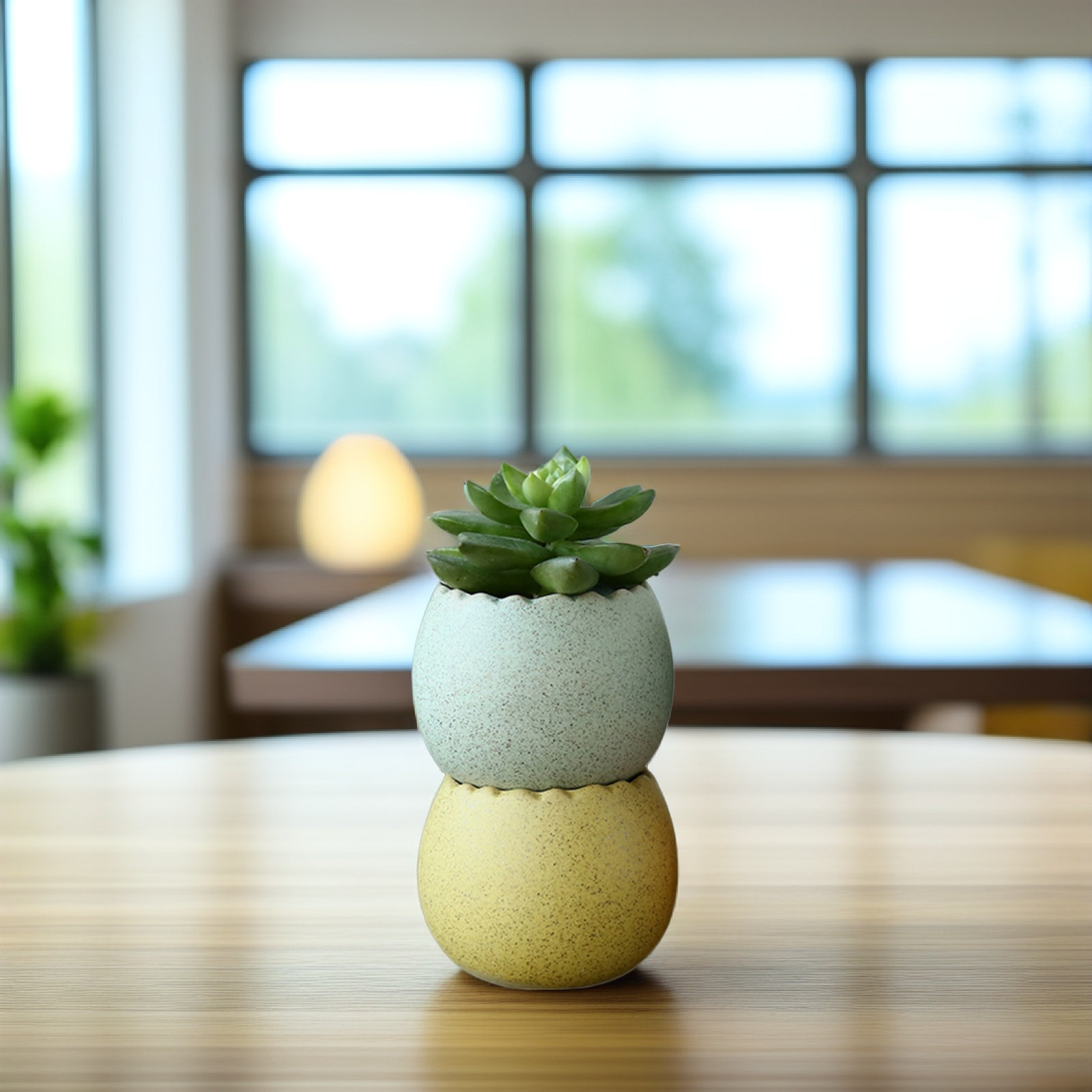 6Pcs Stylish Ceramic Mini Pots - Aloe Vera Pot incelemesi ve fiyatı