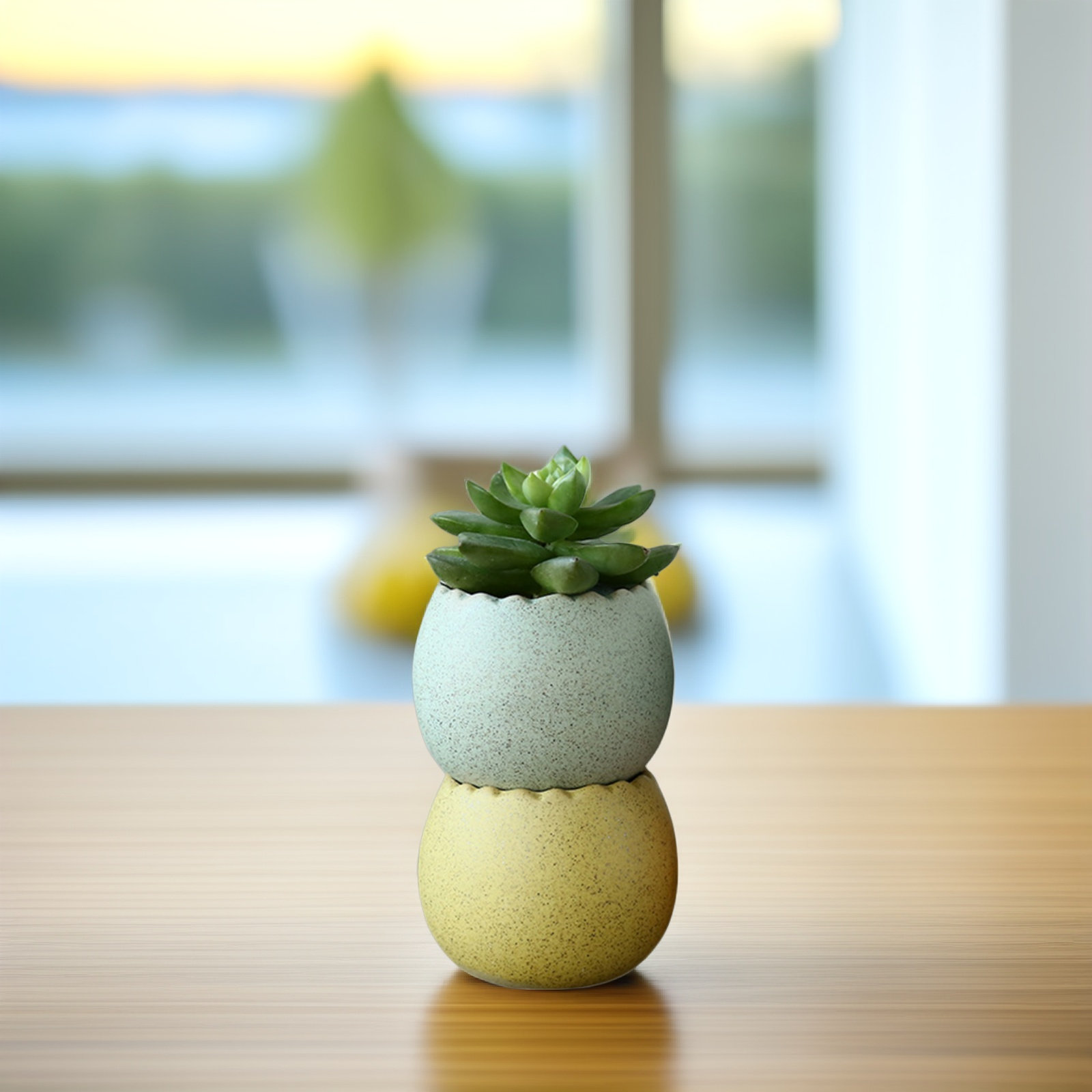 6Pcs Stylish Ceramic Mini Pots - Aloe Vera Pot incelemesi ve fiyatı