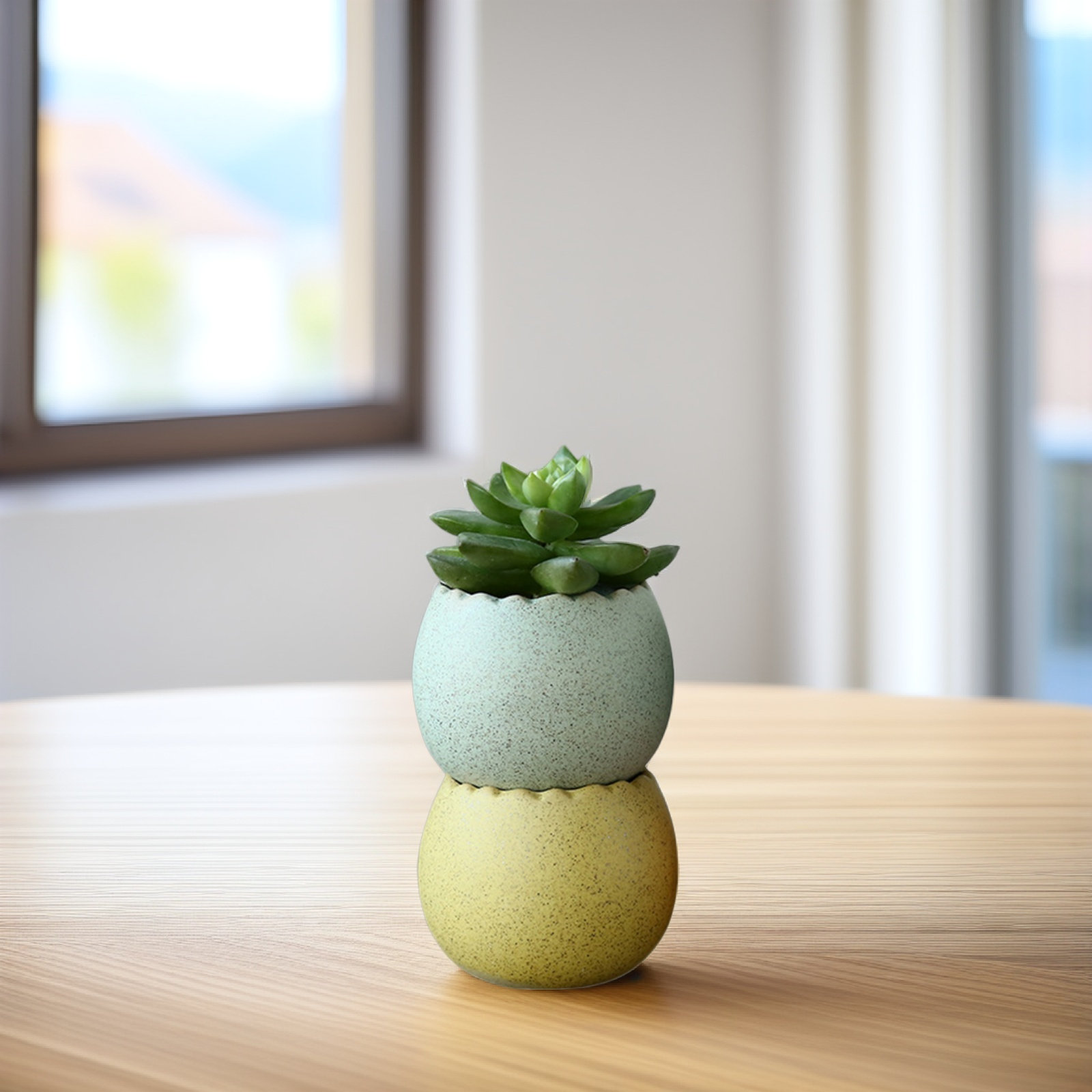 6Pcs Stylish Ceramic Mini Pots - Aloe Vera Pot incelemesi ve fiyatı