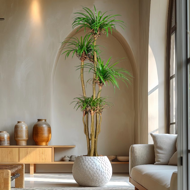 Indoor/Outdoor Home Tree Simul - Dracaena Marginata incelemesi ve fiyatı