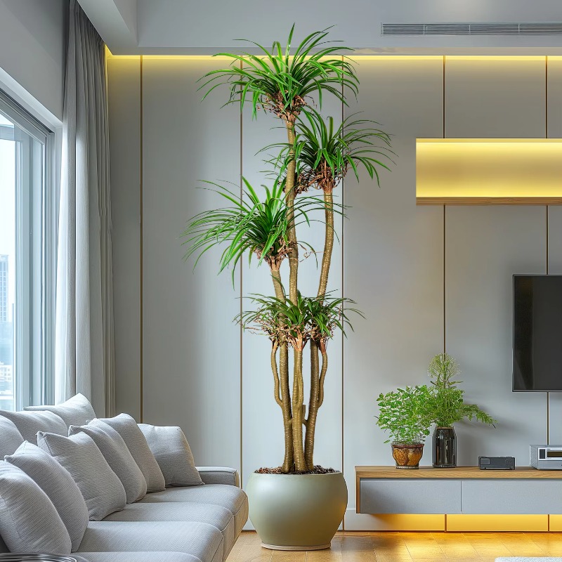 Indoor/Outdoor Home Tree Simul - Dracaena Marginata incelemesi ve fiyatı