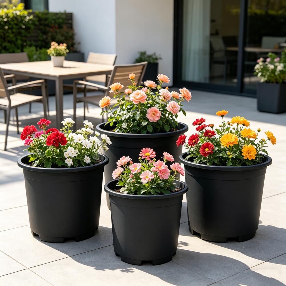 Indoor Plant Pot Black Plastic - Aloe Vera Pot incelemesi ve fiyatı