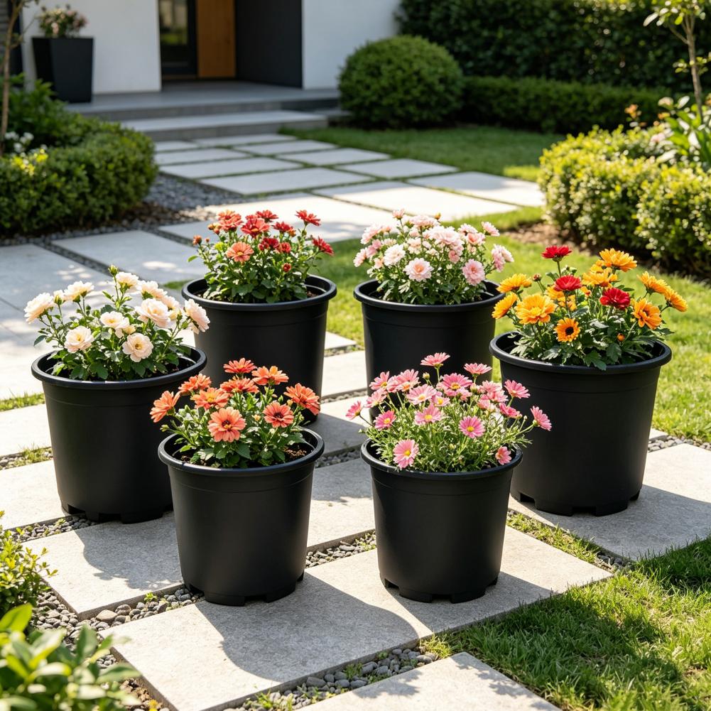Indoor Plant Pot Black Plastic - Aloe Vera Pot incelemesi ve fiyatı