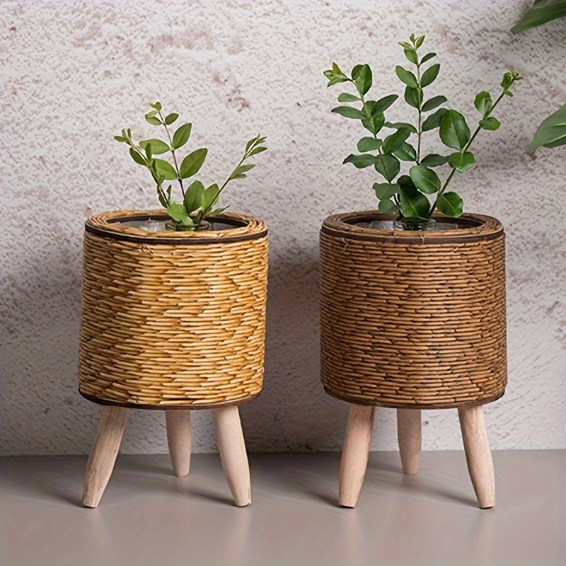 Charming Rustic Rattan Planter - Pilea Peperomioides incelemesi ve fiyatı