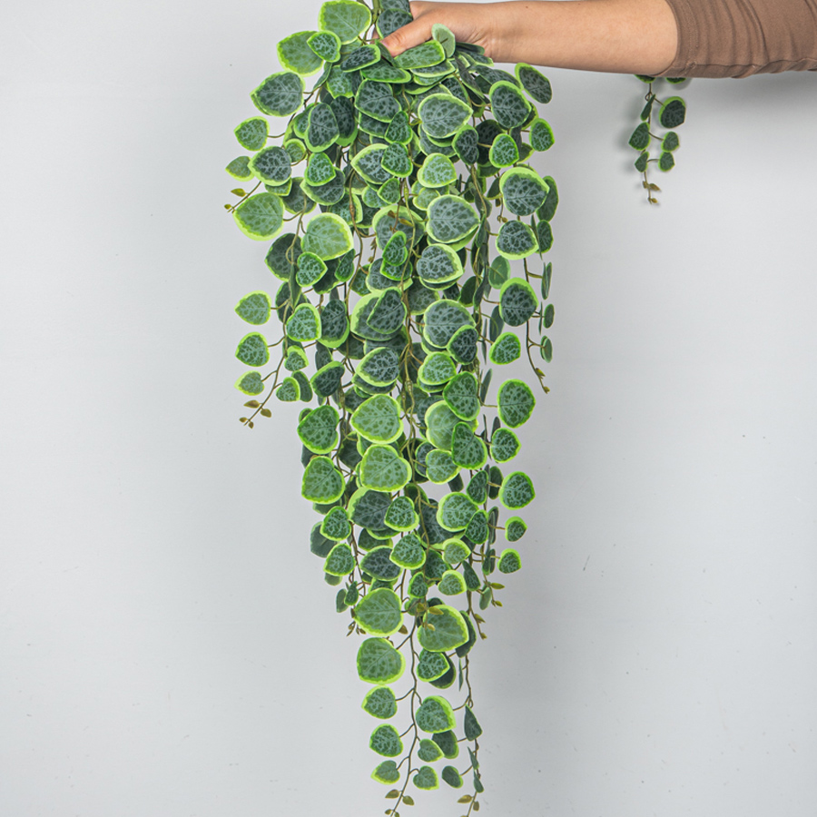 60-80cm Artificial Hanging Vin - Pilea Peperomioides incelemesi ve fiyatı