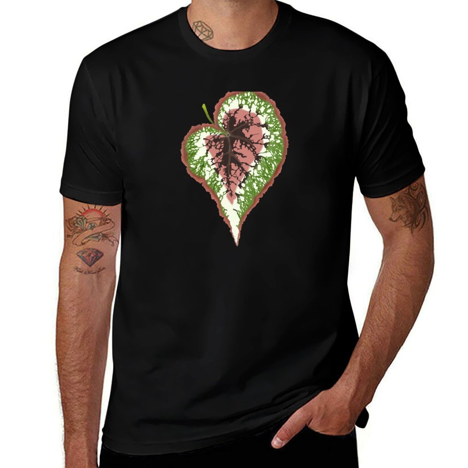 Begonia Rex T-Shirt Basic Simp - Begonia Rex incelemesi ve fiyatı