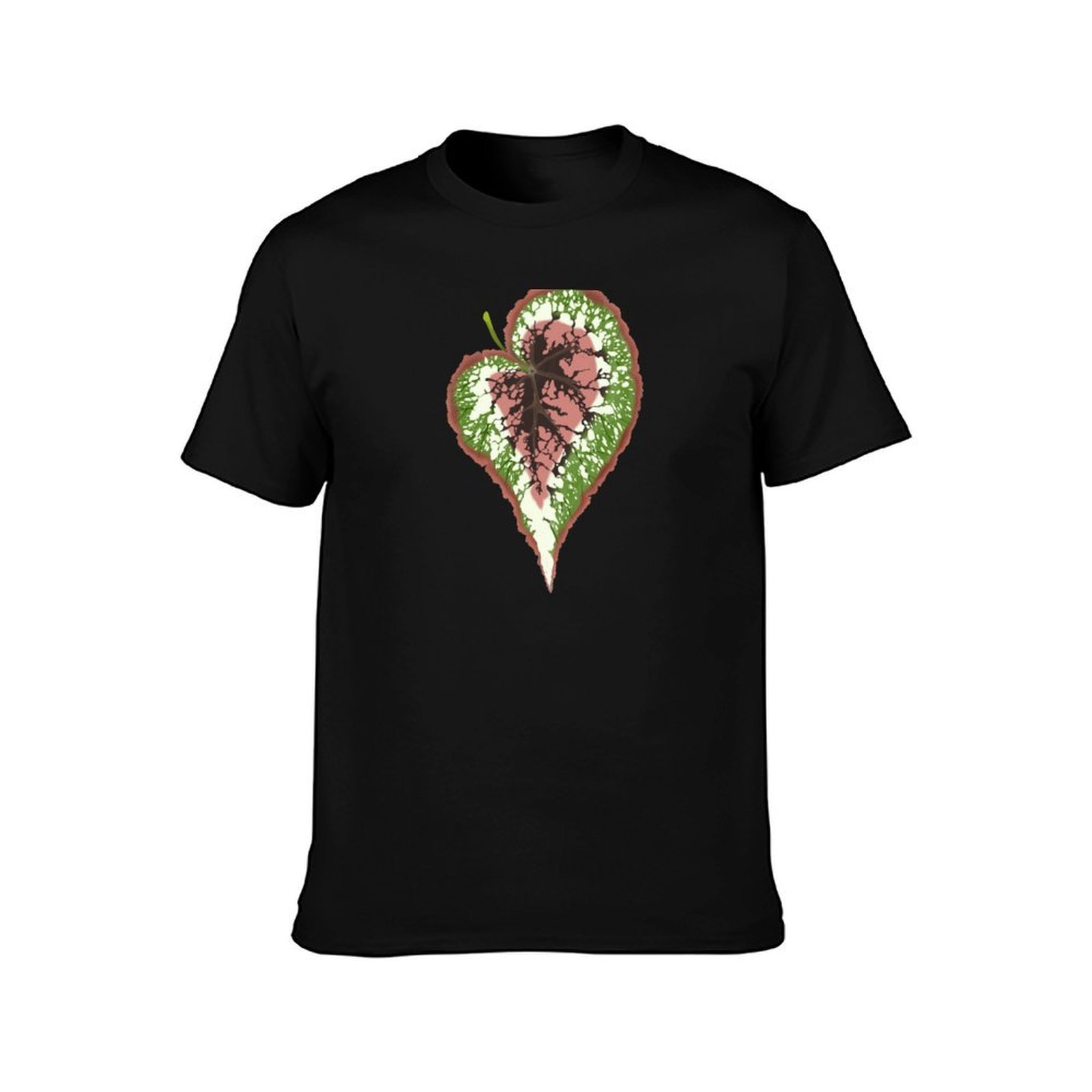 Begonia Rex T-Shirt Basic Simp - Begonia Rex incelemesi ve fiyatı