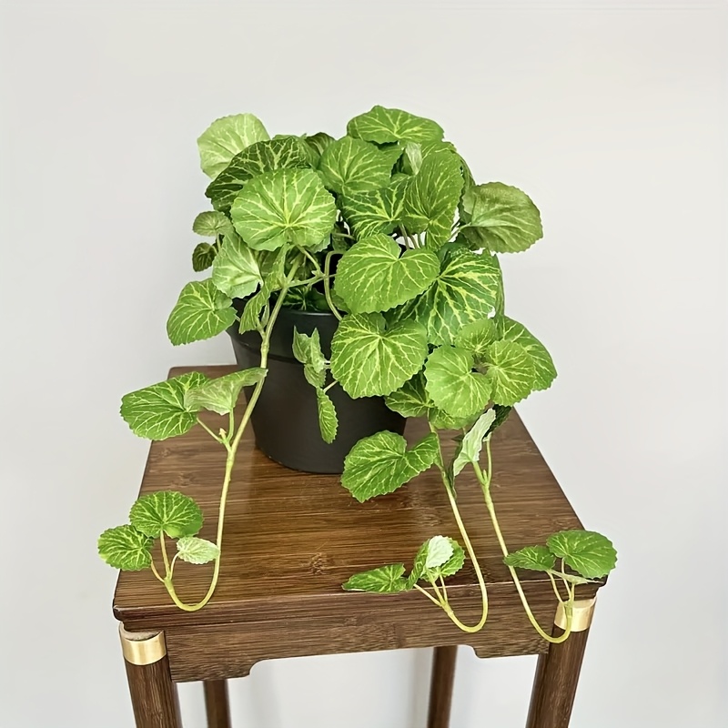 An artificial hanging vine pla - Pilea Peperomioides incelemesi ve fiyatı