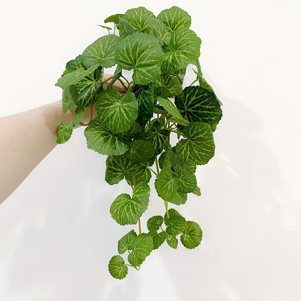 An artificial hanging vine pla - Pilea Peperomioides incelemesi ve fiyatı