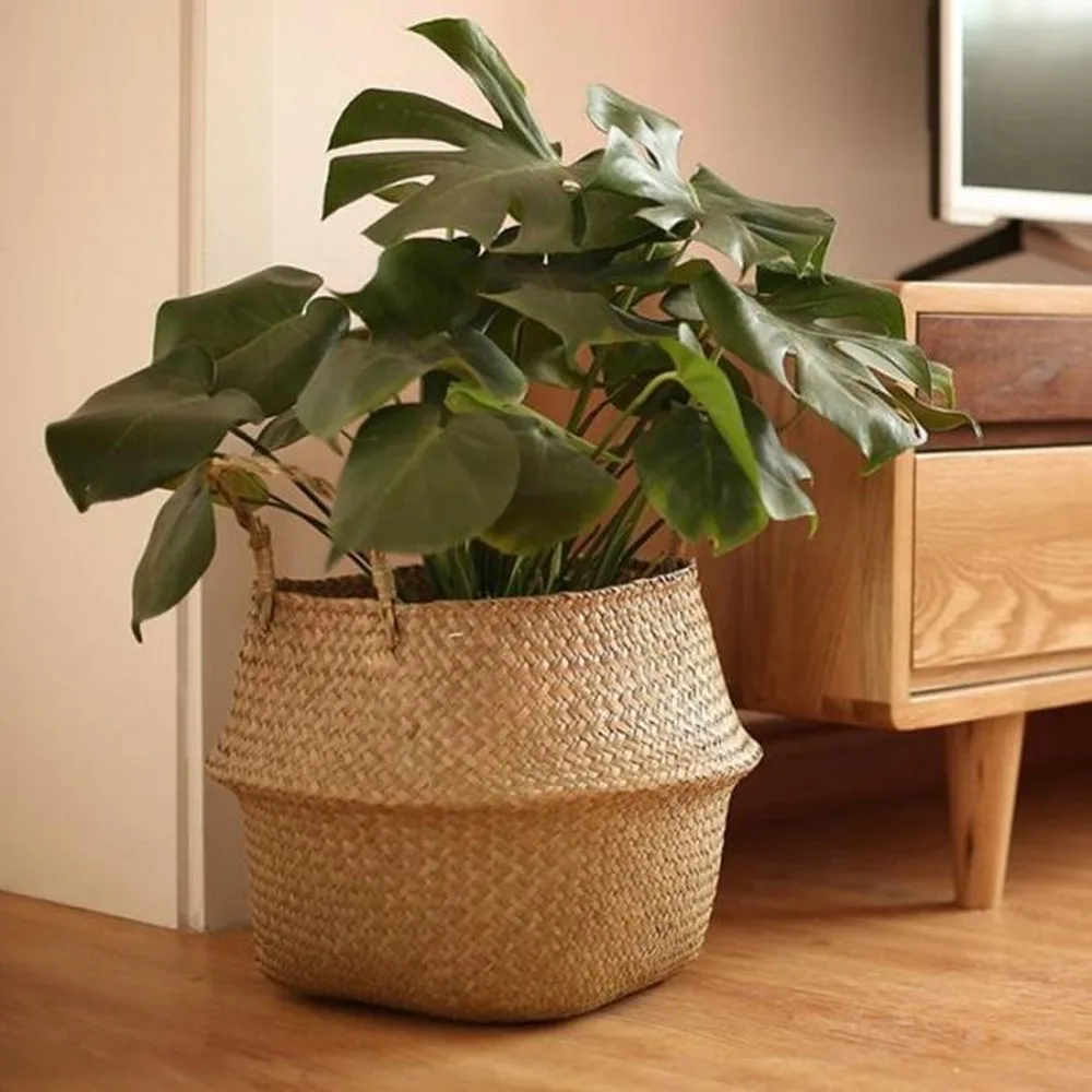 Large Seagrass Wickerwork Bask - Aloe Vera Pot incelemesi ve fiyatı