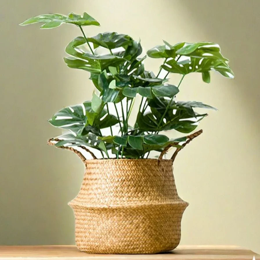 Large Seagrass Wickerwork Bask - Aloe Vera Pot incelemesi ve fiyatı