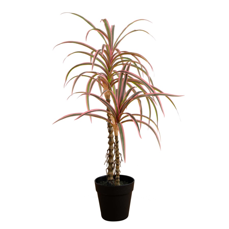 Dracaena Marginata Artificial  - Dracaena Marginata incelemesi ve fiyatı
