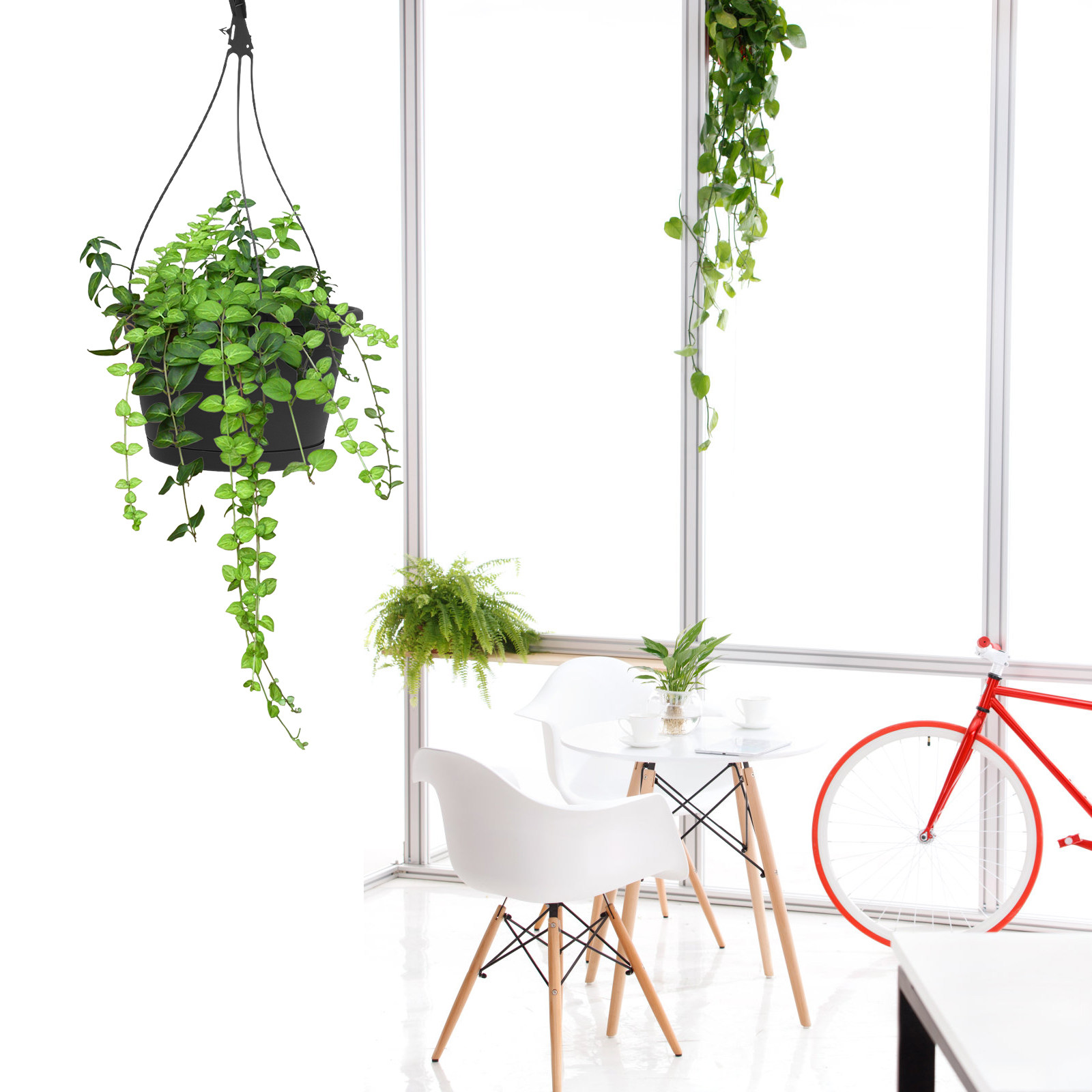 1Pcs Modern Hanging Flowerpot  - Spider Plant Hanging incelemesi ve fiyatı