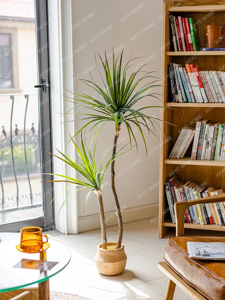 Light Luxury Simulation Green  - Dracaena Marginata incelemesi ve fiyatı