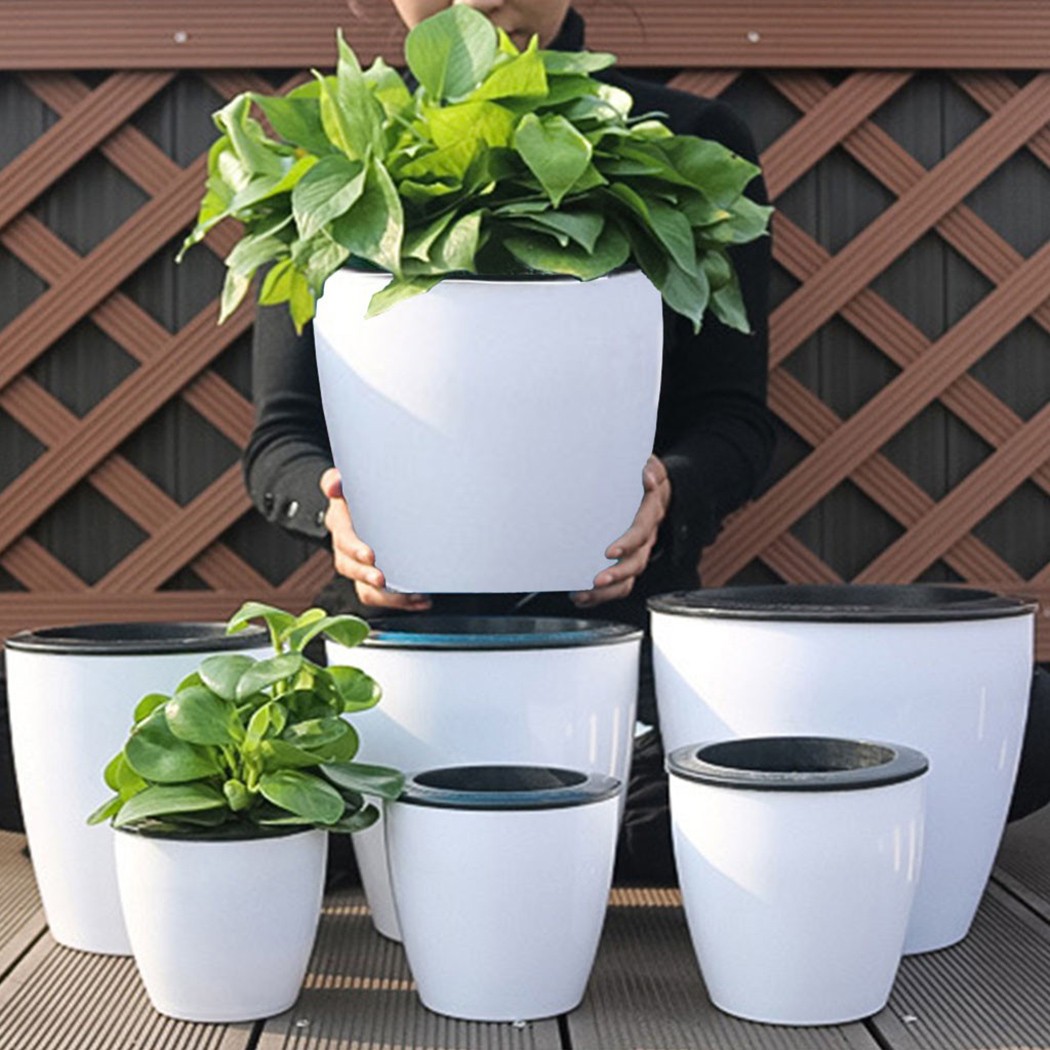 Automatic Watering Flower Plan - Aloe Vera Pot incelemesi ve fiyatı
