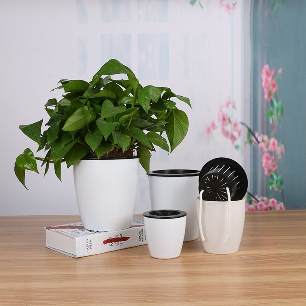 Automatic Watering Flower Plan - Aloe Vera Pot incelemesi ve fiyatı