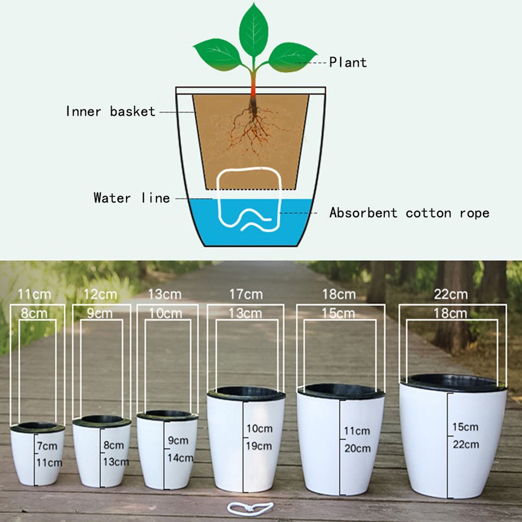 Automatic Watering Flower Plan - Aloe Vera Pot incelemesi ve fiyatı