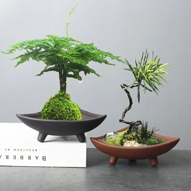 Personalized Ceramic Flower Po - Pilea Peperomioides incelemesi ve fiyatı