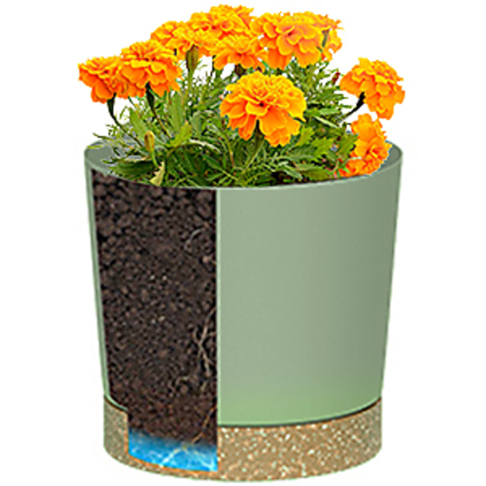 Plant POTS, lightweight large  - Pilea Peperomioides incelemesi ve fiyatı