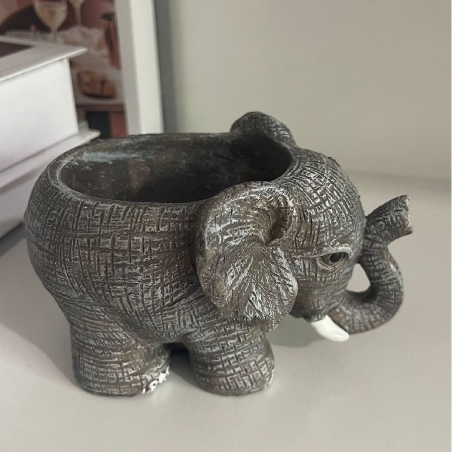 Cute Elephant Resin Succulent  - Echeveria Succulent incelemesi ve fiyatı
