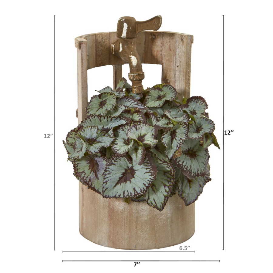 12in. Rex Begonia Artificial P - Begonia Rex incelemesi ve fiyatı