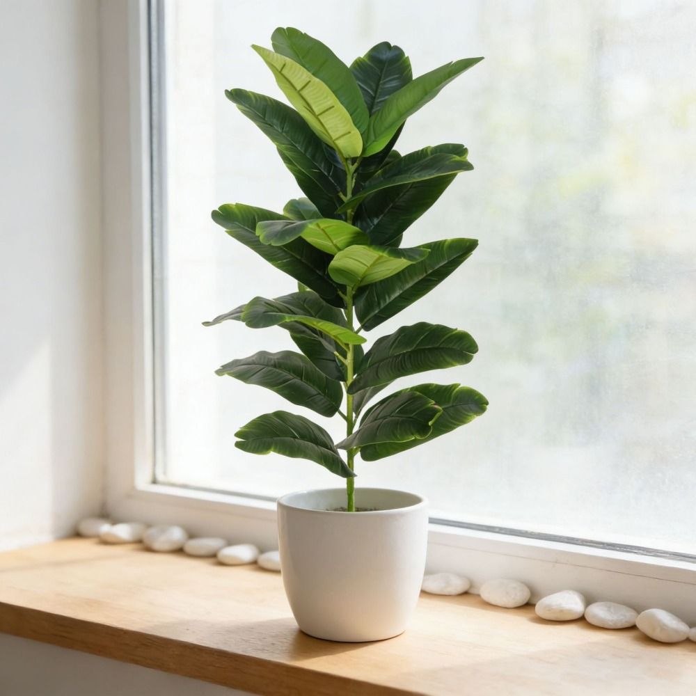 Green Plastic Artificial Ficus - Ficus Lyrata Tree incelemesi ve fiyatı