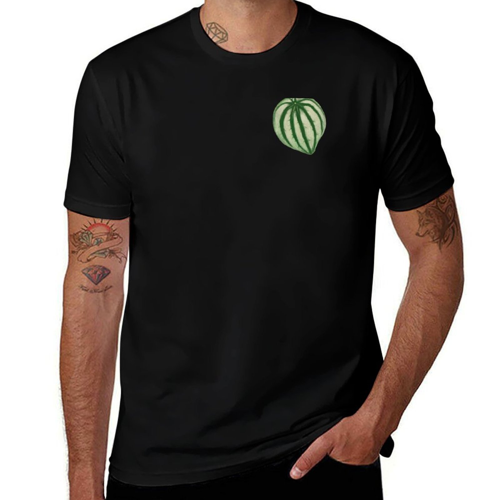 Watermelon Peperomia T-Shirt C - Peperomia Watermelon incelemesi ve fiyatı