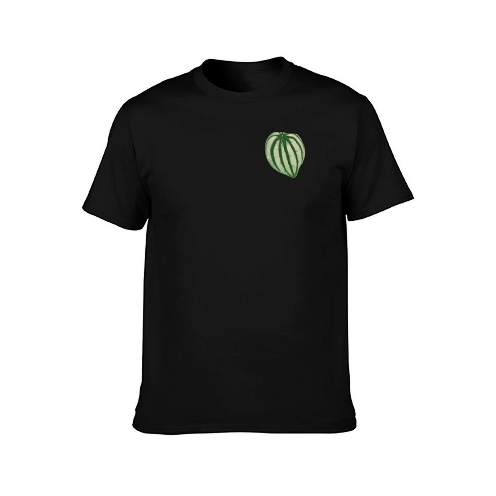 Watermelon Peperomia T-Shirt C - Peperomia Watermelon incelemesi ve fiyatı