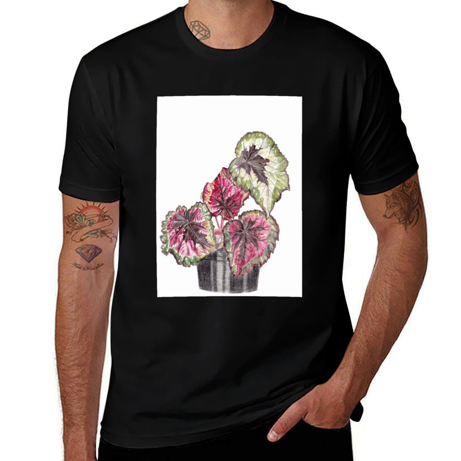 Begonia Rex T-Shirt Simple Gra - Begonia Rex incelemesi ve fiyatı