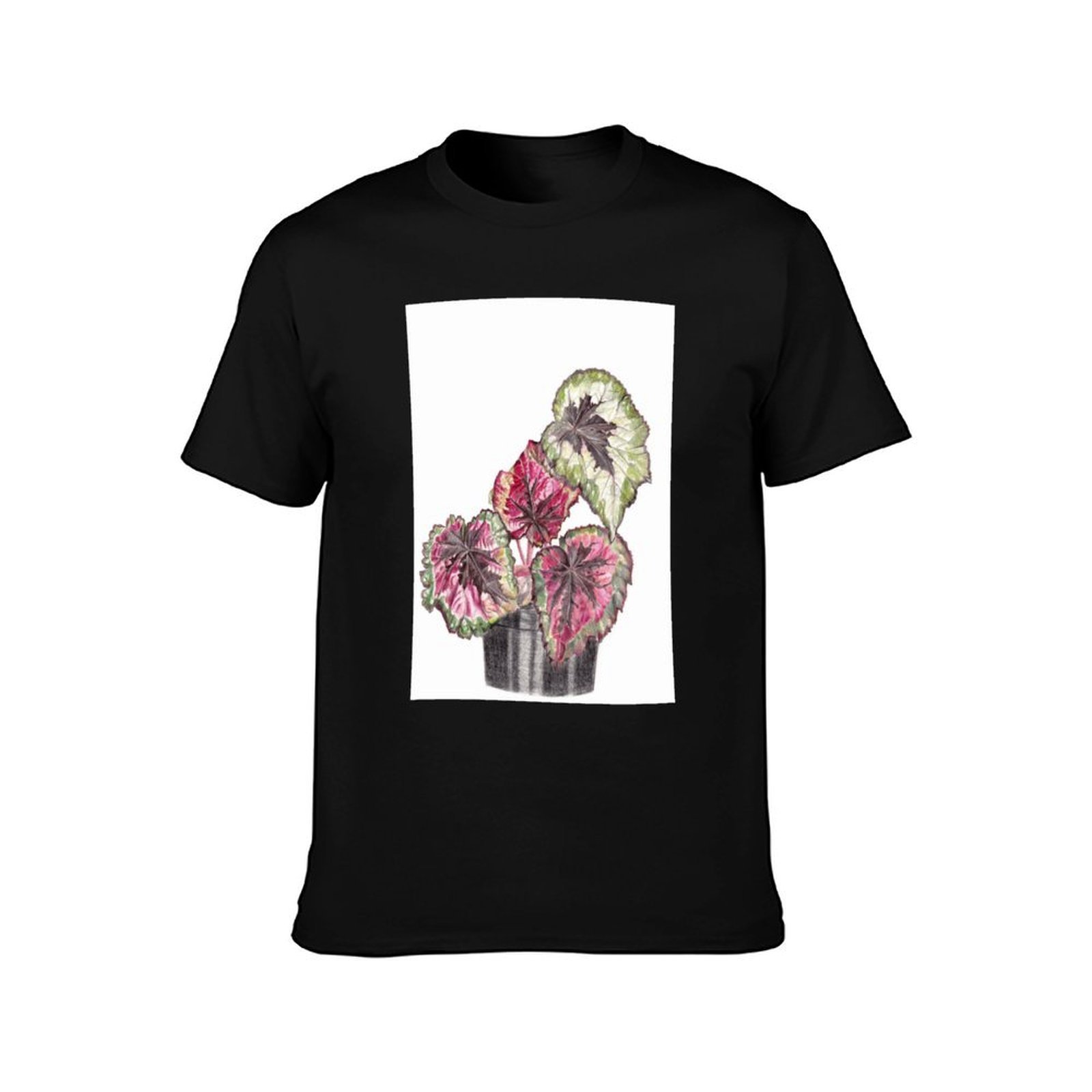 Begonia Rex T-Shirt Simple Gra - Begonia Rex incelemesi ve fiyatı