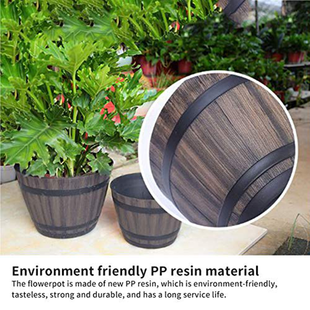 Succulent Flowerpot Lotus Basi - Aloe Vera Pot incelemesi ve fiyatı