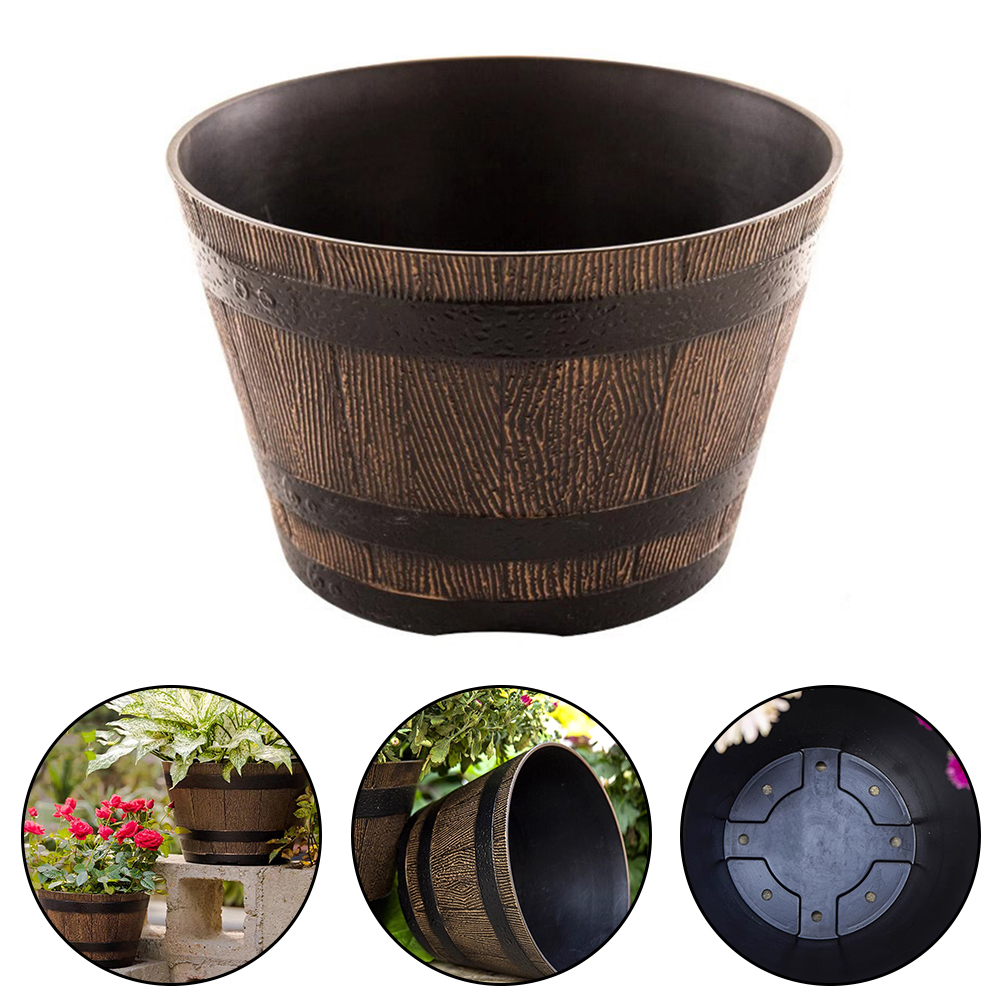 Succulent Flowerpot Lotus Basi - Aloe Vera Pot incelemesi ve fiyatı